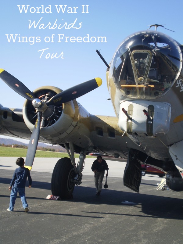World War II Warbirds: Wings of Freedom Tour