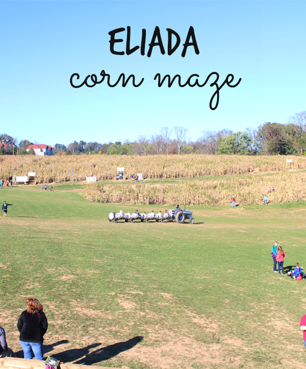 Eliada Corn Maze
