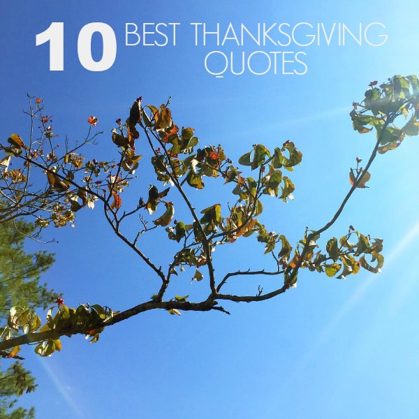 10 Best Thanksgiving Quotes