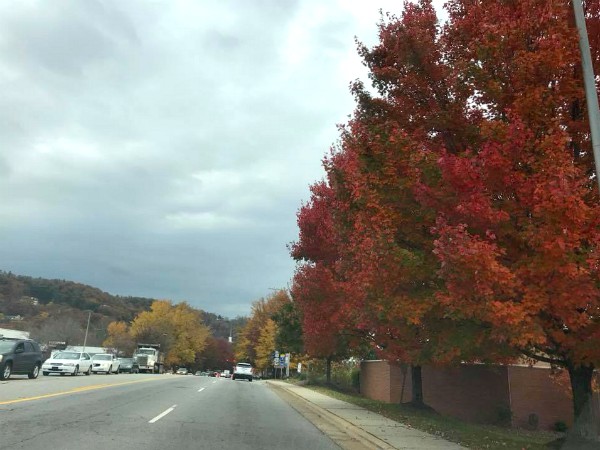 Autumn in Asheville