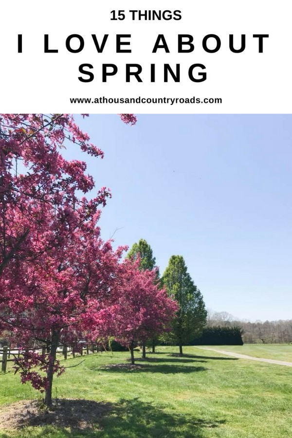 15 Things I Love About Spring