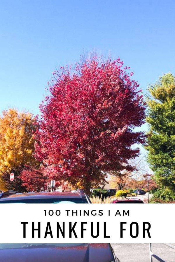 100 Things I Am Thankful For