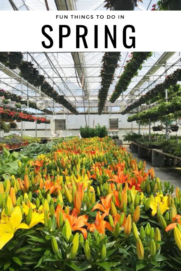 Fun Things To Do in Spring