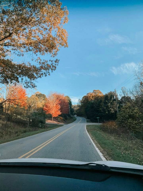 Taking a Scenic Route to See Fall Foliage