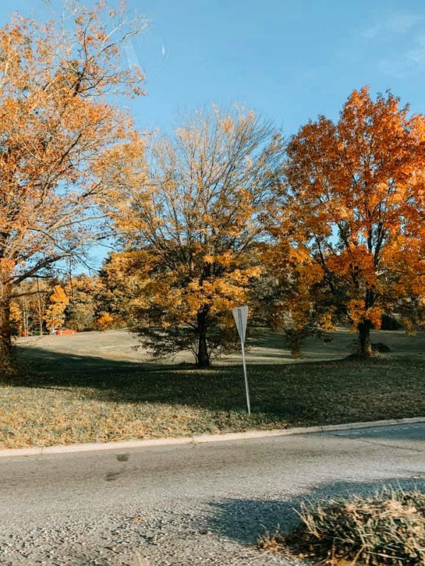 Taking a Scenic Route to See Fall Foliage