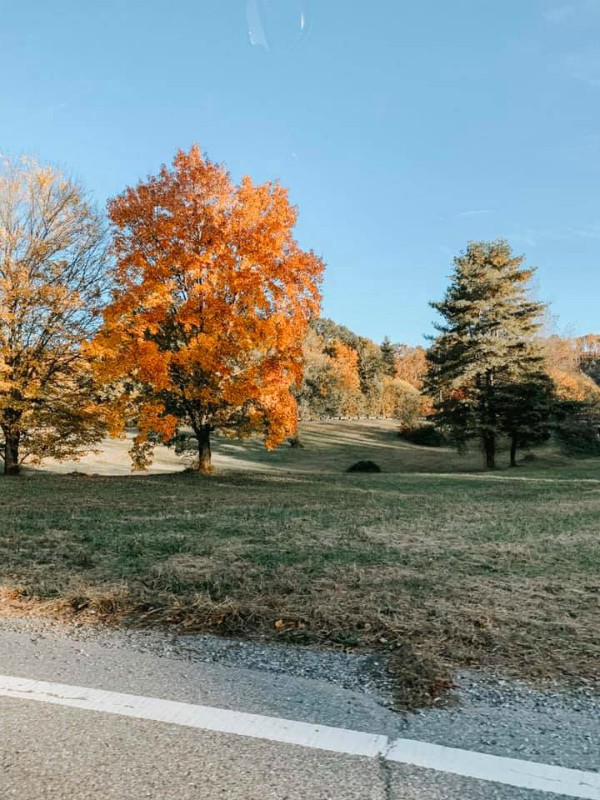 Taking a Scenic Route to See Fall Foliage