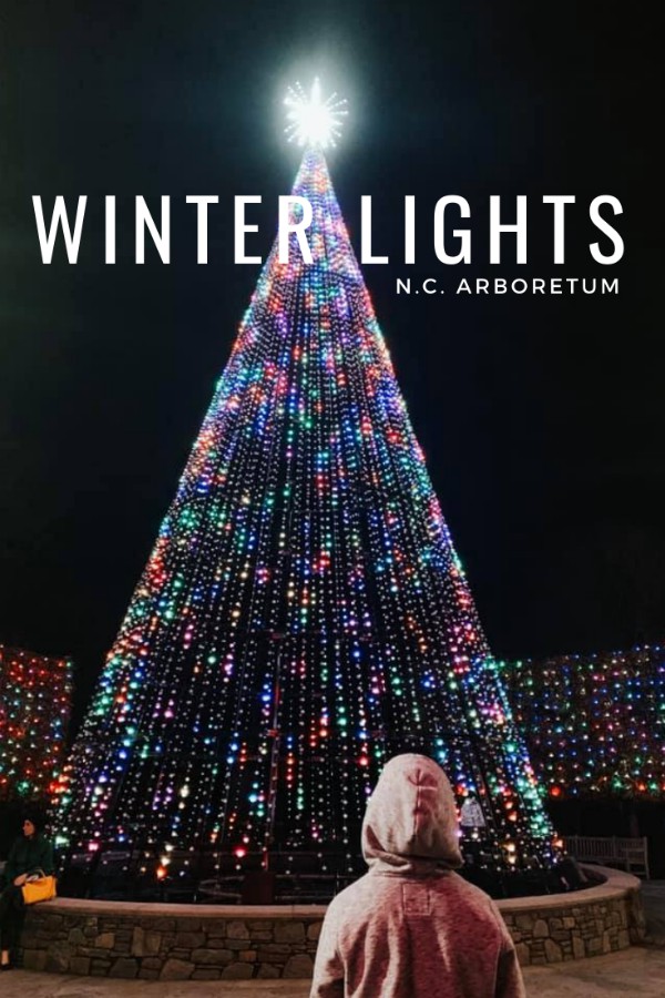 Winter Lights at the N.C. Arboretum