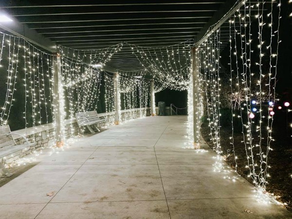 Winter Lights at the N.C. Arboretum