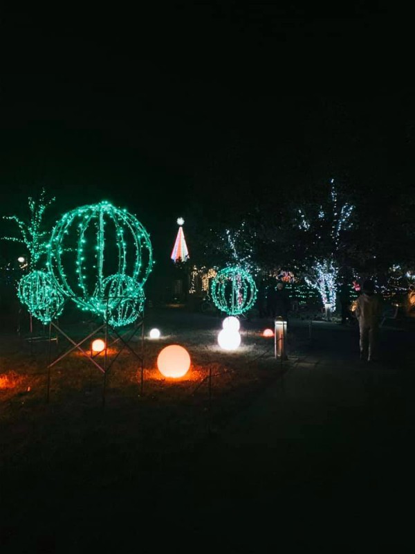 Winter Lights at the N.C. Arboretum