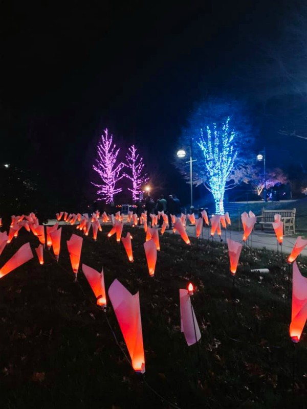 Winter Lights at the N.C. Arboretum