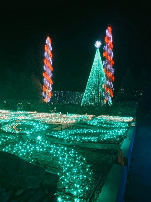 Winter Lights at the N.C. Arboretum