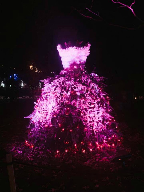 Winter Lights at the N.C. Arboretum