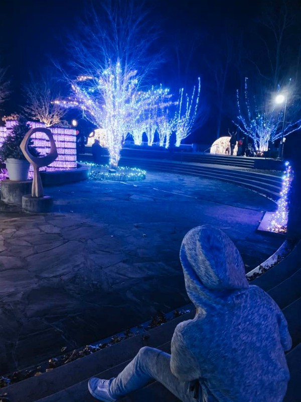 Winter Lights at the N.C. Arboretum