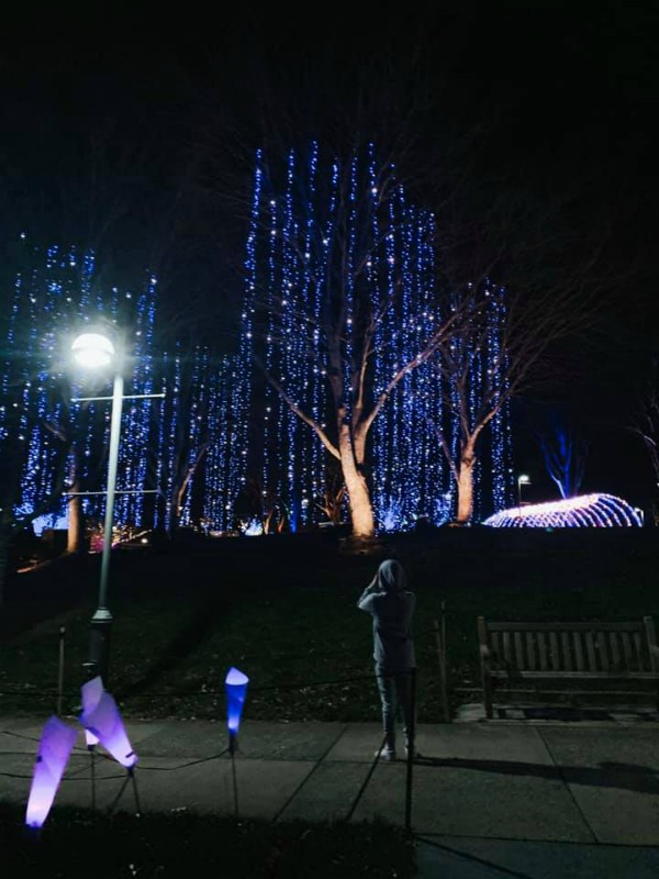 Winter Lights at the N.C. Arboretum