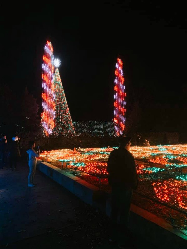 Winter Lights at the N.C. Arboretum