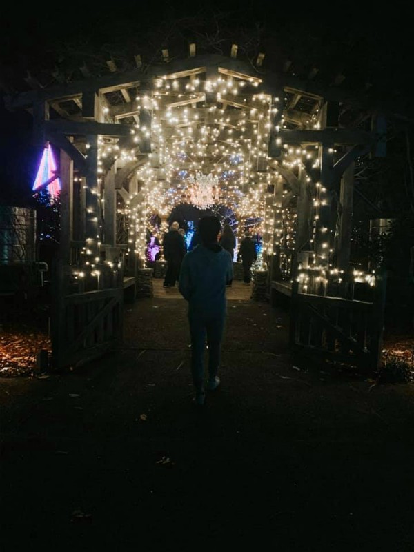 Winter Lights at the N.C. Arboretum