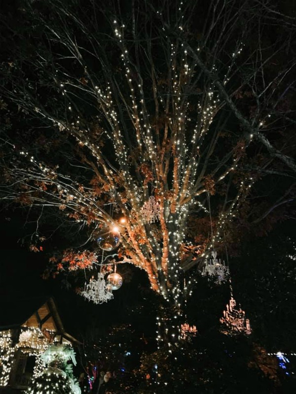 Winter Lights at the N.C. Arboretum