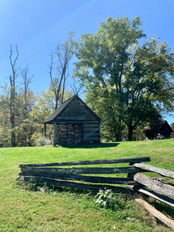 Vance Birthplace State Historic Site