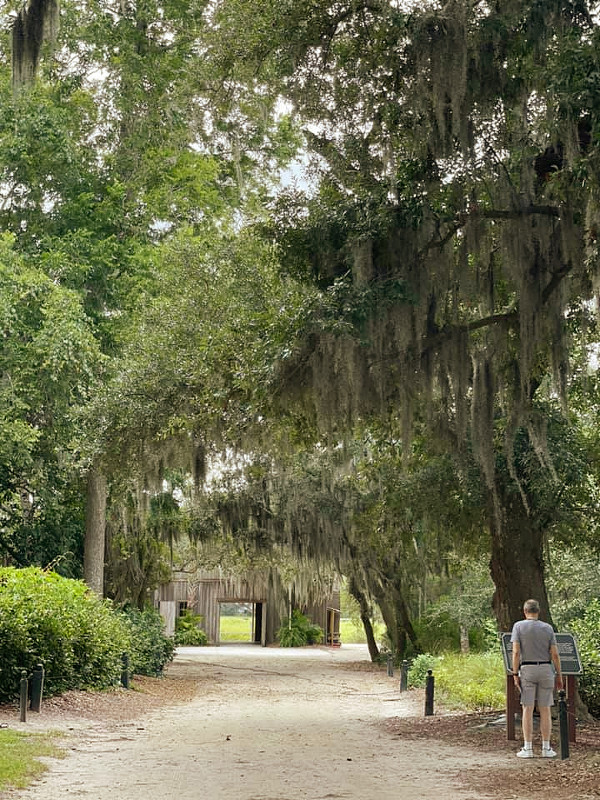A Day at Boone Hall Plantation & Gardens