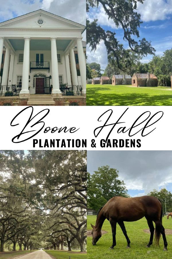 A Day at Boone Hall Plantation & Gardens