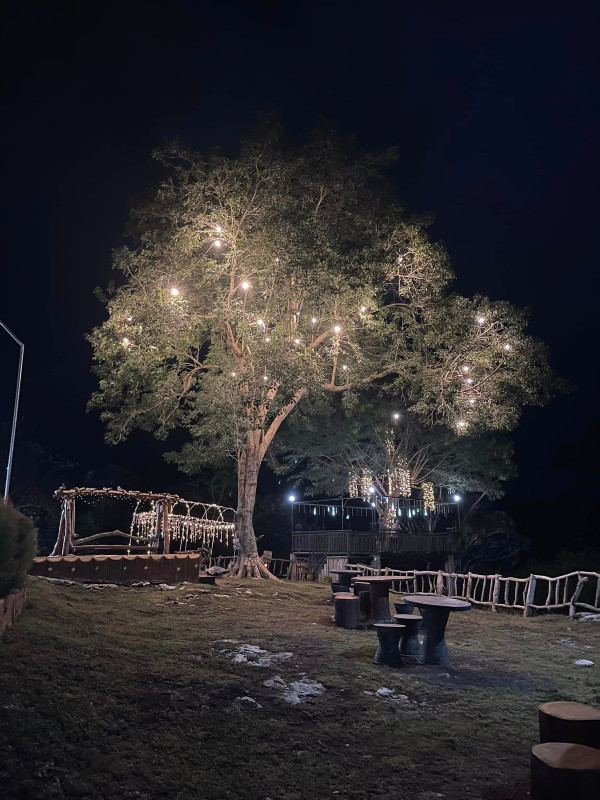 Dinner On A Hill with A View