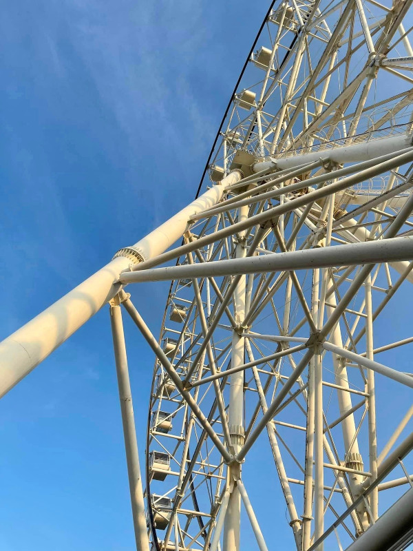 Riding High on the MOA Eye