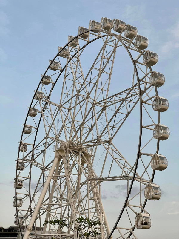 Riding High on the MOA Eye