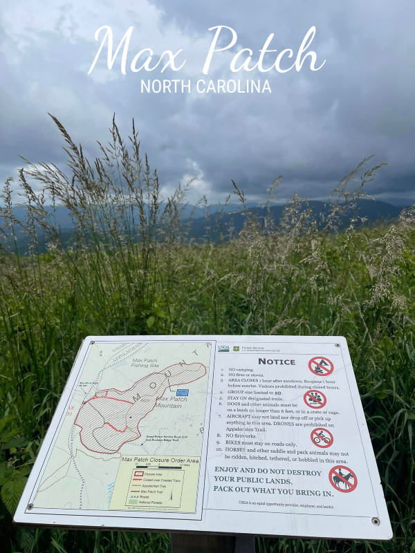 A 1.4 Mile Hike to the Summit of Max Patch