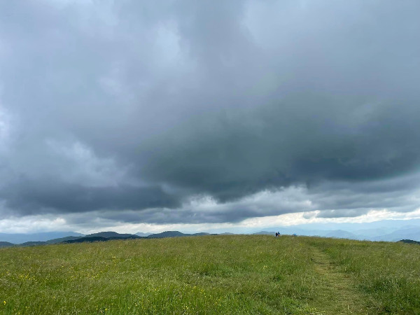 A 1.4 Mile Hike to the Summit of Max Patch