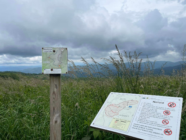 A 1.4 Mile Hike to the Summit of Max Patch