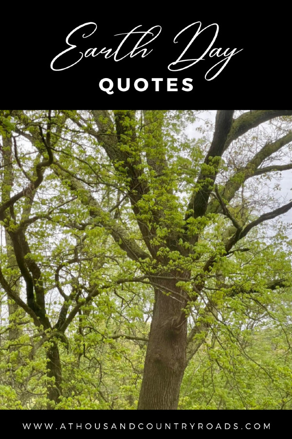 Earth Day Quotes That Inspire
